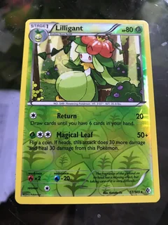 Lilligant Reverse Holo 17