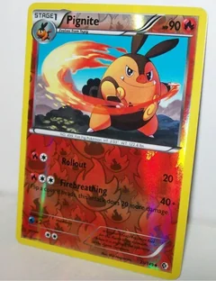 Pignite Reverse Holo 25