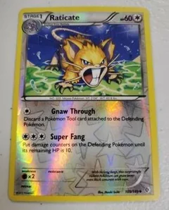 Raticate Reverse Holo 105