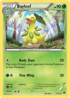 Bayleef League Promo 2