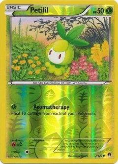 Petilil Reverse Holo 7