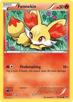 Fennekin 25