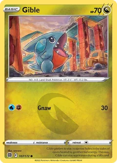 Gible 107