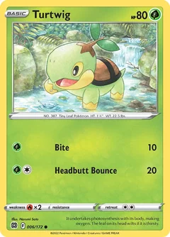 Turtwig 6