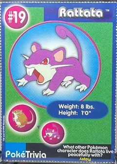 Rattata 19