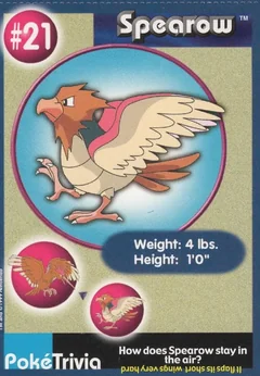 Spearow 21