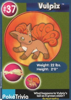 Vulpix 37