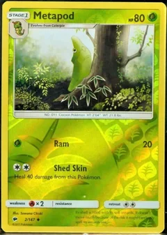Metapod Reverse Holo 2