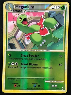 Meganium Reverse Holo 27