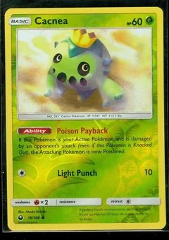 Cacnea Reverse Holo 19