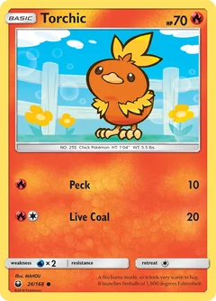 Torchic 26