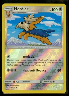 Herdier Reverse Holo 175