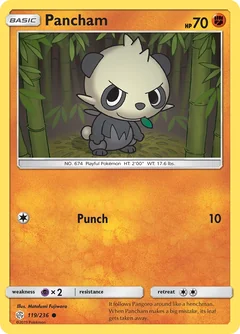 Pancham 119
