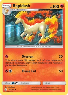Rapidash 24