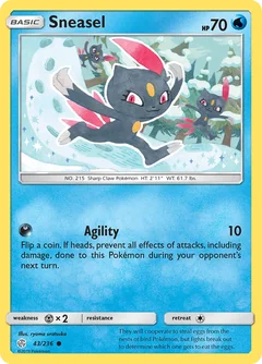 Sneasel 43