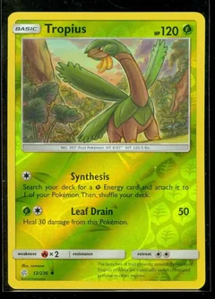 Tropius Reverse Holo 12