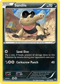 Sandile 64