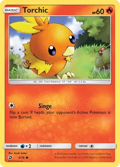 Torchic 4