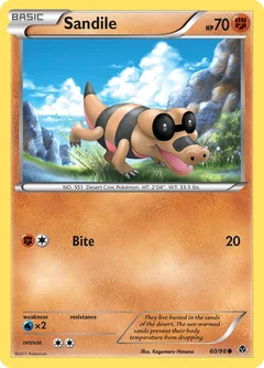 Sandile 60