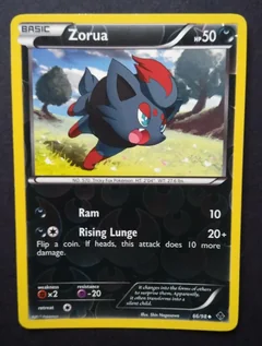 Zorua Reverse Holo 66