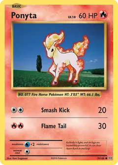 Ponyta 19