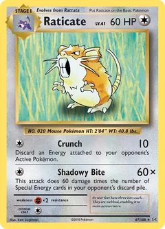 Raticate 67