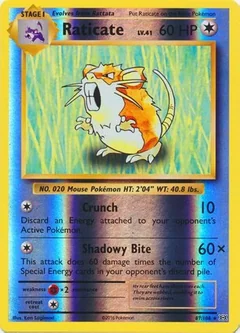 Raticate Reverse Holo 67