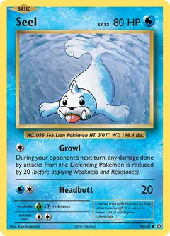 Seel 28