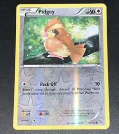 Pidgey Reverse Holo 75