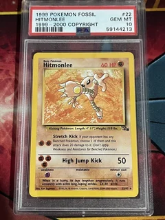 Hitmonlee 1999 2000 22