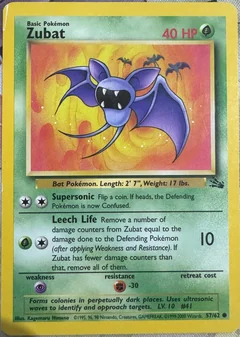 Zubat 1999 2000 57