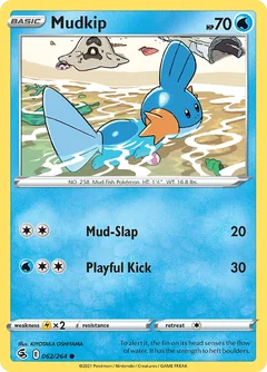 Mudkip 62