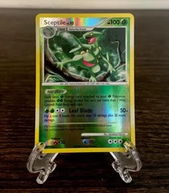 Sceptile Reverse Holo 8