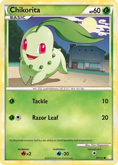 Chikorita 59