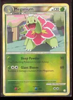 Meganium Reverse Holo 26