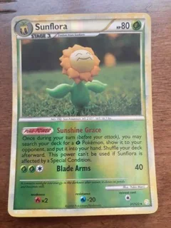 Sunflora Reverse Holo 31