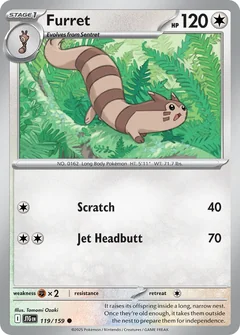 Furret 119