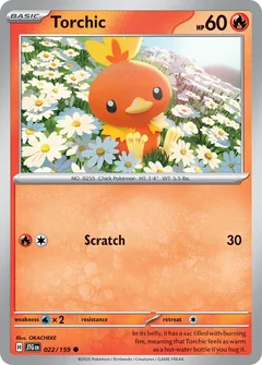 Torchic 22