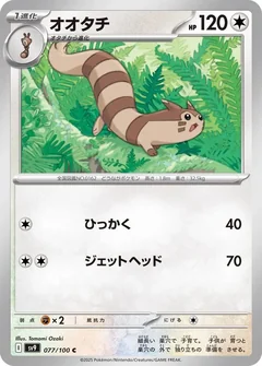 Furret 77