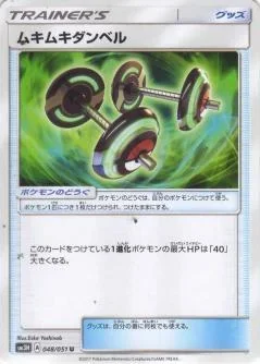 Bodybuilding Dumbbells 48