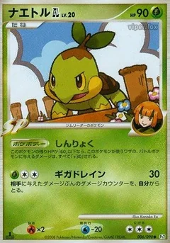Turtwig 1St Edition 6
