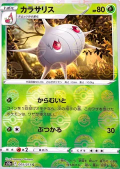 Silcoon Reverse Holo 5