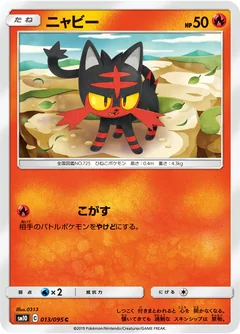 Litten 13