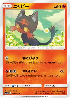 Litten 14