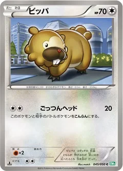 Bidoof 45
