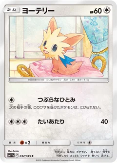 Lillipup 37