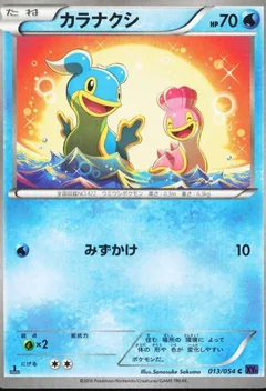 Shellos 1St Edition 13