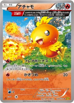 Torchic 18