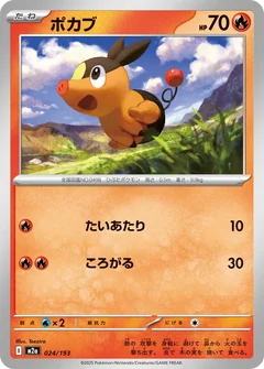 Tepig Ball 24