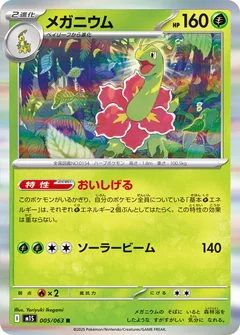 Meganium 5